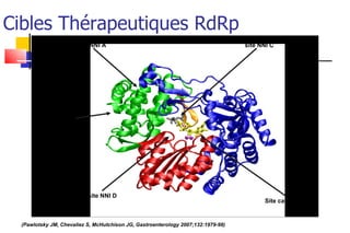 Cibles Thérapeutiques RdRp (Pawlotsky JM, Chevaliez S, McHutchison JG, Gastroenterology 2007;132:1979-98) Site catalytique site NNI A site NNI B site NNI C site NNI D 