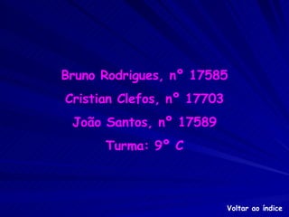 Bruno Rodrigues, nº 17585 Cristian Clefos, nº 17703 João Santos, nº 17589 Turma: 9º C Voltar ao índice 
