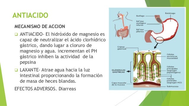 Antiacido y-inhibidores-de-la-secreción-del-acido (1)