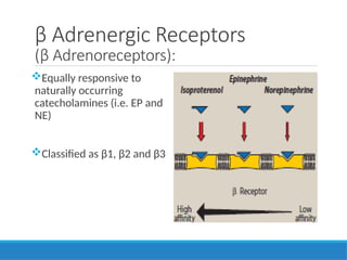 antiadrenergic drugs in detail pharmacology.pptx