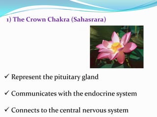  Represent the pituitary gland
 Communicates with the endocrine system
 Connects to the central nervous system
1) The Crown Chakra (Sahasrara)
 