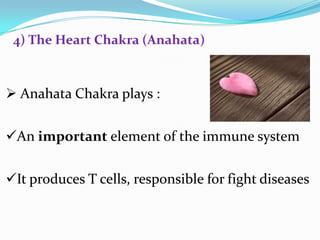  Anahata Chakra plays :
An important element of the immune system
It produces T cells, responsible for fight diseases
4) The Heart Chakra (Anahata)
 