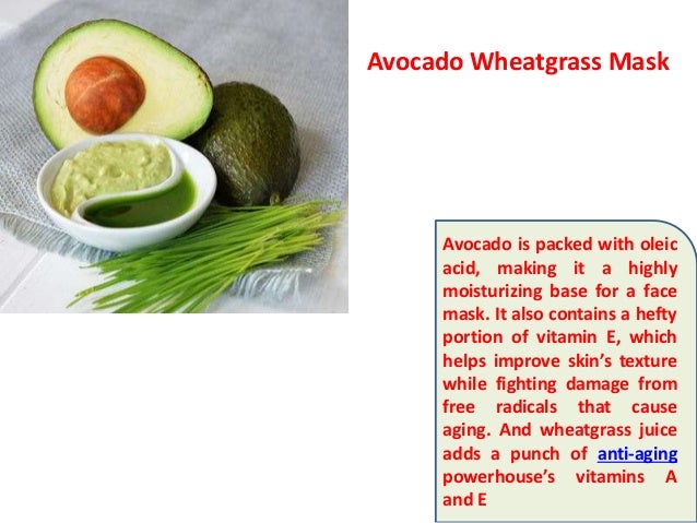 Can You Juice Wheatgrass In A Food Processor Can You Juice Wheatgrass In A Food Processor