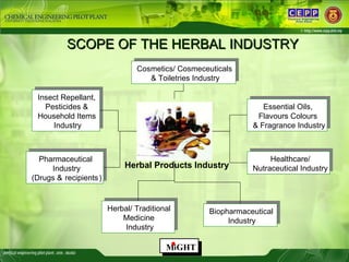 SCOPE OF THE HERBAL INDUSTRY Herbal Products Industry Insect Repellant,  Pesticides &  Household Items  Industry Insect Re...