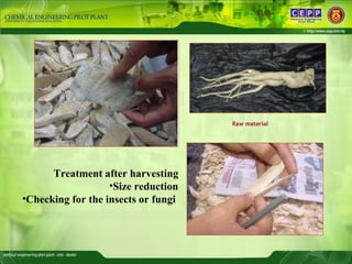 Raw material <ul><li>Treatment after harvesting </li></ul><ul><li>Size reduction </li></ul><ul><li>Checking for the insect...