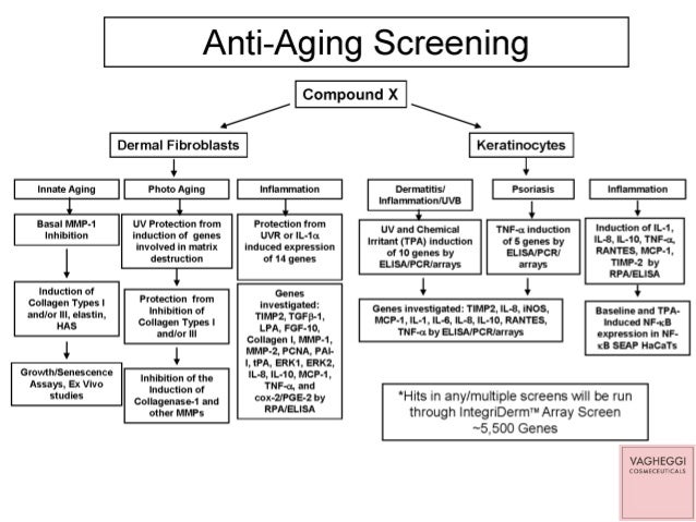 p anti-aging The Aging Secrets Anti Best