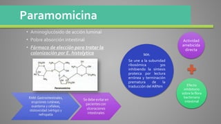 Paramomicina
Actividad
amebicida
directa
Efecto
inhibitorio
sobre la flora
bacteriana
intestinal
MA:
Se une a la subunidad
ribosómica 30s
inhibiendo la síntesis
proteica por lectura
errónea y terminación
prematura de la
traducción delARNm
 