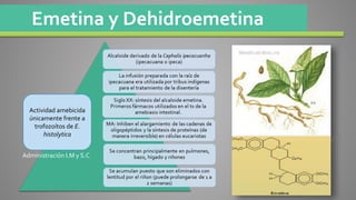 Emetina y Dehidroemetina
Actividad amebicida
únicamente frente a
trofozoítos de E.
histolytica
Administración I.M y S.C
 