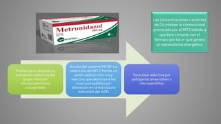 Las concentraciones crecientes
de O2 inhiben la citotoxicidad
provocada por el MTZ debido a
que éste compite con el
fármaco por los e- que genera
el metabolismo energético
 