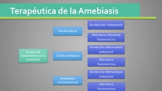 Terapéutica de la Amebiasis
Pautas del
tratamiento de la
amebiasis
Asintomática
De elección:Yodoquinol
Alternativa: Diloxanida
Paramomicina
Colitis amebiana
De elección: Metronidazol
yodoquinol
Alternativa:
Paramomicina
Amebiasis
extraintestinal
De elección: Metronidazol
yodoquinol
Alternativa:
Paramomicina
 