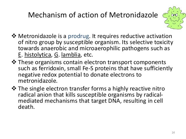 Action Of Metronidazole Metronidazole Sustained action Oral Flagyl ER action-of-metronidazole-metronidazole-sustained-action-oral-flagyl-er