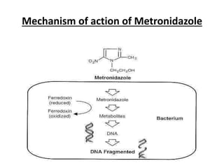 Mechanism of action of Metronidazole
 