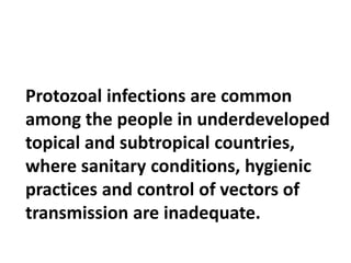 Protozoal infections are common
among the people in underdeveloped
topical and subtropical countries,
where sanitary conditions, hygienic
practices and control of vectors of
transmission are inadequate.
 