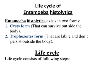 Life cycle of
Entamoeba histolytica
Entamoeba histolytica exists in two forms:
1. Cysts form (That can survive out side the
body).
2. Trophozoites form (That are labile and don’t
persist outside the body).
Life cycle
Life cycle consists of following steps:
 