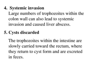 4. Systemic invasion
Large numbers of trophozoites within the
colon wall can also lead to systemic
invasion and caused liver abscess.
5. Cysts discarded
The trophozoites within the intestine are
slowly carried toward the rectum, where
they return to cyst form and are excreted
in feces.
 