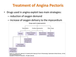 Treatment of Angina Pectoris
• Drugs used in angina exploit two main strategies:
– reduction of oxygen demand
– increase of oxygen delivery to the myocardium
 