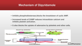Mechanism of Dipyridamole
▪ Inhibits phosphodiesterase,blocks the breakdown of cyclic AMP.
▪ Increased levels of CAMP reduces intracellular calcium and
inhibits platelet activation.
▪ It also blocks the uptake of adenosine by platelets and other cells.
SwathiPharmaJnan
 