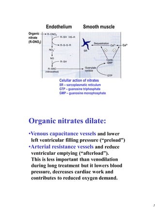 Antianginal drugs -004 [Compatibility Mode] [Repaired].pdf