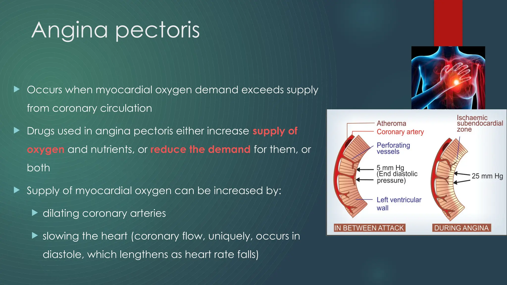 Pharmacology: Drugs used in Angina pectoris | PPTX