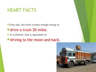 HEART FACTS
Every day, the heart creates enough energy to
drive a truck 20 miles.
 In a lifetime, that is equivalent to
driving to the moon and back.
 