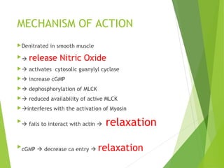 MECHANISM OF ACTION
Denitrated in smooth muscle
 release Nitric Oxide
 activates cytosolic guanylyl cyclase
 increase cGMP
 dephosphorylation of MLCK
 reduced availability of active MLCK
interferes with the activation of Myosin

 fails to interact with actin  relaxation

cGMP  decrease ca entry  relaxation
 