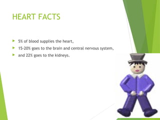 HEART FACTS
 5% of blood supplies the heart,
 15-20% goes to the brain and central nervous system,
 and 22% goes to the kidneys.
 