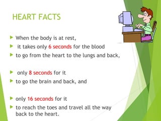 HEART FACTS
 When the body is at rest,
 it takes only 6 seconds for the blood
 to go from the heart to the lungs and back,
 only 8 seconds for it
 to go the brain and back, and
 only 16 seconds for it
 to reach the toes and travel all the way
back to the heart.
 
