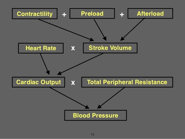 Medications that decrease stroke volume