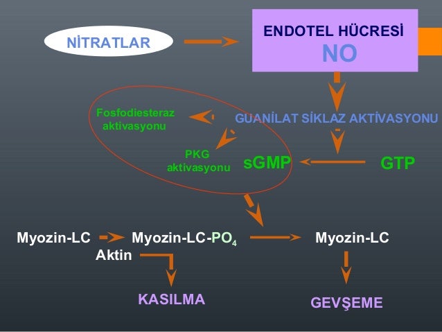 Bioparox ile anjina 57