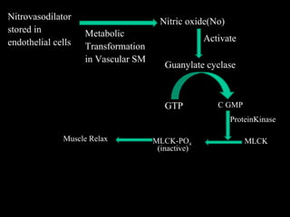 Nitrovasodilator
stored in
endothelial cells
Metabolic
Transformation
in Vascular SM
Nitric oxide(No)
Guanylate cyclase
Activate
GTP C GMP
ProteinKinase
MLCKMLCK-PO4
(inactive)
Muscle Relax
 