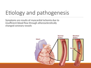 Etiology and pathogenesis
Symptoms are results of myocardial ischemia due to
insufficient blood flow through atherosclerotically
changed coronary vessels
 