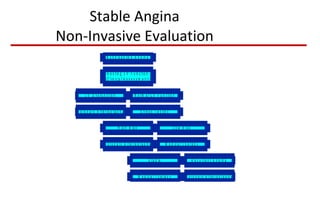 Stable Angina Non-Invasive Evaluation 