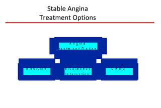 Stable Angina Treatment Options 