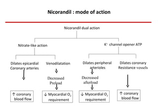 Nicorandil : mode of action Nitrate-like action K +   channel opener ATP Dilates epicardial Coronary arteries Venodilatation Dilates peripheral  arterioles Dilates coronary Resistance  vessels Decreased Preload Decreased  afterload ↑  coronary  blood flow ↓  Myocardial O 2 requirement ↓  Myocardial O 2 requirement ↑  coronary blood flow Nicorandil dual action 