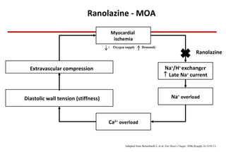 Ranolazine - MOA Adapted from Belardinelli L et al.  Eur Heart J Suppl.  2006;8(suppl A):A10-13 . Na + /H +  exchang er    Late Na +  current    Diastolic wall tension (stiffness) Extravascular  compression Na +   overload Ca 2+   overload Myocardial  ischemia Ranolazine (  Oxygen supply  Demand) 