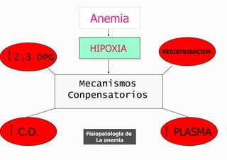 Anemia

              HIPOXIA            REDISTRIBUCION
2,3 DPG

            Mecanismos
          Conpensatorios


C.O.         Fisiopatologia de      PLASMA
                 La anemia
 