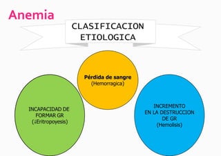 Anemia
         CLASIFICACION
          ETIOLOGICA



           Pérdida de sangre
             (Hemorragica)



                                  INCREMENTO
                               EN LA DESTRUCCION
                                      DE GR
                                   (Hemolisis)
 