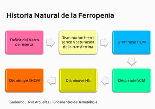 Historia Natural de la Ferropenia

                                 Disminucion hierro
 Deficit del hierro
                                 serico y saturacion       Disminuye HCM
   de reserva
                                  de la transferrina




Disminuye CHCM                     Disminuye Hb            Desciende VCM




Guillermo J. Ruiz Argüelles ; Fundamentos de Hematología
 