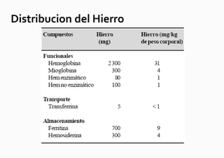 Distribucion del Hierro
 