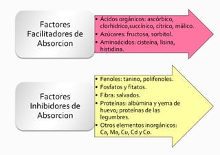• Ácidos orgánicos: ascórbico,
   Factores          clorhidrico,succínico, cítrico, málico.
Facilitadores de   • Azúcares: fructosa, sorbitol.
  Absorcion        • Aminoácidos: cisteína, lisina,
                     histidina.



                   • Fenoles: tanino, polifenoles.
                   • Fosfatos y fitatos.
   Factores        • Fibra: salvados.
                   • Proteínas: albúmina y yema de
Inhibidores de       huevo; proteínas de las
  Absorcion          legumbres.
                   • Otros elementos inorgánicos:
                     Ca, Ma, Cu, Cd y Co.
 