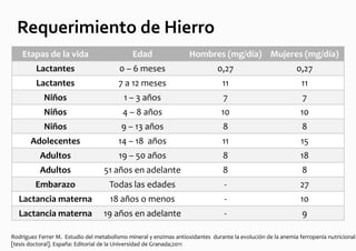 Requerimiento de Hierro
    Etapas de la vida                         Edad                  Hombres (mg/día) Mujeres (mg/día)
         Lactantes                       0 – 6 meses                           0,27                          0,27
         Lactantes                       7 a 12 meses                           11                             11
            Niños                          1 – 3 años                            7                             7
            Niños                         4 – 8 años                            10                            10
            Niños                         9 – 13 años                            8                             8
       Adolecentes                       14 – 18 años                           11                             15
           Adultos                       19 – 50 años                            8                            18
           Adultos                 51 años en adelante                           8                             8
         Embarazo                    Todas las edades                            -                            27
  Lactancia materna                  18 años o menos                             -                            10
  Lactancia materna                19 años en adelante                           -                             9

Rodríguez Ferrer M. Estudio del metabolismo mineral y enzimas antioxidantes durante la evolución de la anemia ferropenia nutricional
[tesis doctoral]. España: Editorial de la Universidad de Granada;2011
 