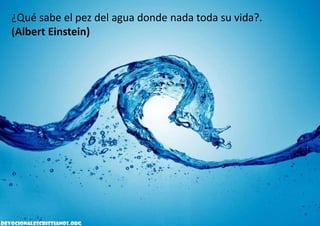 ¿Qué sabe el pez del agua donde nada toda su vida?.
(Albert Einstein)
 