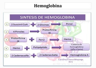 Hemoglobina
 