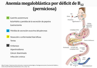 Anemia megaloblástica por déficit de B12
                    (perniciosa)
            1 Gastritis autoinmune
                  Aclorhidria y perdida de la secreción de pepsina
                  Gastrectomía

            2 Pérdida de secreción exocrina del páncreas

            3 Resección o enfermedad ileal difusa
                  Tenias

            4 Embarazo
                  Hipertiroidismo
                  Cáncer diseminado
                  Infección crónica



Aliya N. Husian. Trastornos de los eritrocitos y trastornos hemorrágicos. Patología estructural y funcional de Robbins y
Cotran. 8a ed. Barcelona; Panamericana: 2010. p. 639 - 675
 