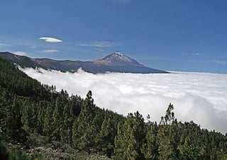 Antianémicos final 2