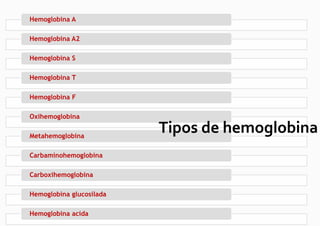 Hemoglobina A

Hemoglobina A2

Hemoglobina S

Hemoglobina T

Hemoglobina F

Oxihemoglobina

Metahemoglobina
                          Tipos de hemoglobina
Carbaminohemoglobina

Carboxihemoglobina

Hemoglobina glucosilada

Hemoglobina acida
 