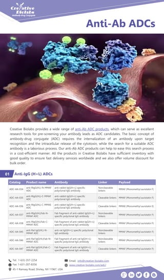 Anti-Ab ADCs
Creative Biolabs provides a wide range of anti-Ab ADC products, which can serve as excellent
research tools for pre-screening your antibody leads as ADC candidates. The basic concept of
antibody-drug conjugate (ADC) requires the internalization of an antibody upon target
recognition and the intracellular release of the cytotoxin, while the search for a suitable ADC
antibody is a laborious process. Our anti-Ab ADC products can help to ease this search process
in a cost-efficient manner. All the products in Creative Biolabs have sufficient inventory with
good quality to ensure fast delivery services worldwide and we also offer volume discount for
bulk order.
Anti-IgG (H+L) ADCs01
Catalog Product name Antibody Linker Payload
ADC-AA-034
anti-RIgG(HL)-N-MMAF
ADC
anti-rabbit IgG(H+L) specific
polyclonal IgG antibody
Noncleavable
linkers
MMAF (Monomethyl auristatin F)
ADC-AA-035
anti-RIgG(HL)-C-MMAF
ADC
anti-rabbit IgG(H+L) specific
polyclonal IgG antibody
Cleavable linkers MMAF (Monomethyl auristatin F)
ADC-AA-036
anti-RIgG(HL)-C-MMAE
ADC
anti-rabbit IgG(H+L) specific
polyclonal IgG antibody
Cleavable linkers MMAE (Monomethyl auristatin E)
ADC-AA-037
anti-RIgG(HL)Fab-N-
MMAF ADC
Fab fragment of anti-rabbit IgG(H+L)
specific polyclonal IgG antibody
Noncleavable
linkers
MMAF (Monomethyl auristatin F)
ADC-AA-038
anti-RIgG(HL)Fab-C-
MMAF ADC
Fab fragment of anti-rabbit IgG(H+L)
specific polyclonal IgG antibody
Cleavable linkers MMAF (Monomethyl auristatin F)
ADC-AA-045
anti-Rat IgG(HL)-N-
MMAF ADC
anti-rat IgG(H+L) specific polyclonal
IgG antibody
Noncleavable
linkers
MMAF (Monomethyl auristatin F)
ADC-AA-046
anti-Rat IgG(HL)Fab-N-
MMAF ADC
Fab fragment of anti-rat IgG(H+L)
specific polyclonal IgG antibody
Noncleavable
linkers
MMAF (Monomethyl auristatin F)
ADC-AA-047
anti-Rat IgG(HL)Fab-C-
MMAF ADC
Fab fragment of anti-rat IgG(H+L)
specific polyclonal IgG antibody
Cleavable linkers MMAF (Monomethyl auristatin F)
Tel: 1-631-357-2254
Fax: 1-631-207-8356
45-1 Ramsey Road, Shirley, NY 11967, USA
Email: info@creative-biolabs.com
www.creative-biolabs.com/adc/
 