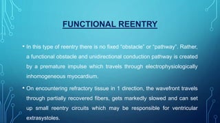FUNCTIONAL REENTRY
• In this type of reentry there is no fixed “obstacle” or “pathway”. Rather,
a functional obstacle and unidirectional conduction pathway is created
by a premature impulse which travels through electrophysiologically
inhomogeneous myocardium.
• On encountering refractory tissue in 1 direction, the wavefront travels
through partially recovered fibers, gets markedly slowed and can set
up small reentry circuits which may be responsible for ventricular
extrasystoles.
 