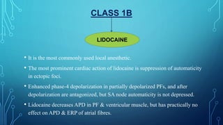 CLASS 1B
• It is the most commonly used local anesthetic.
• The most prominent cardiac action of lidocaine is suppression of automaticity
in ectopic foci.
• Enhanced phase-4 depolarization in partially depolarized PFs, and after
depolarization are antagonized, but SA node automaticity is not depressed.
• Lidocaine decreases APD in PF & ventricular muscle, but has practically no
effect on APD & ERP of atrial fibres.
LIDOCAINE
 