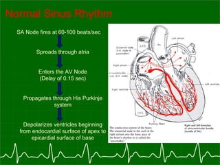 Sa Node Normal Rhythm Antiarrhythmic drugs | PPTX